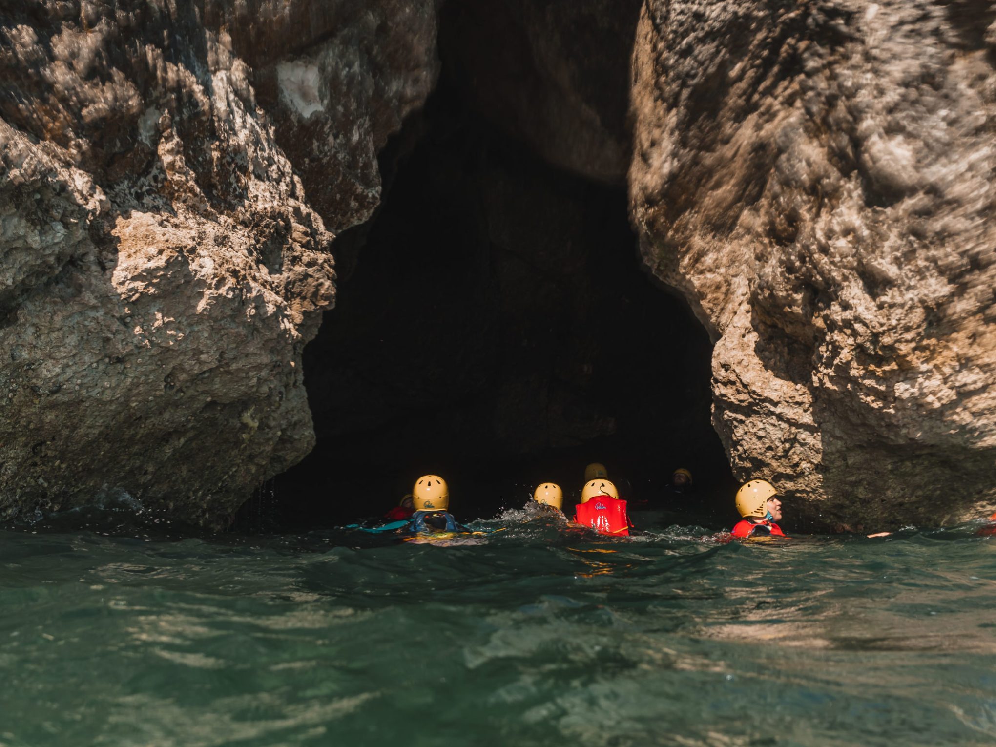 a close up of a rock next to water