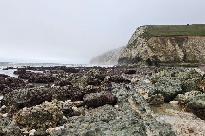 a rocky beach next to the rock